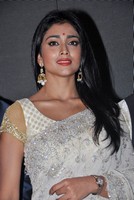 Shriya Saree Photos